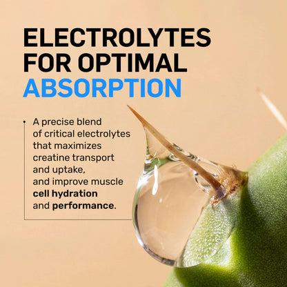 Creatine HCl Powder - Unflavored for Easy Workout Drink Mixing
