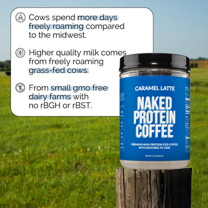 Caramel Latte Protein Iced Coffee - Caramel Latte for Convenient Coffee and Protein Drinks