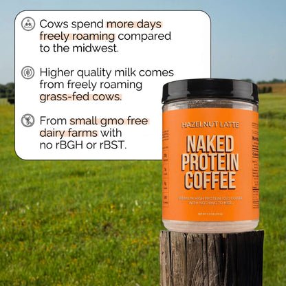 Hazelnut Latte Protein Iced Coffee - Hazelnut Latte for Convenient Coffee and Protein Drinks