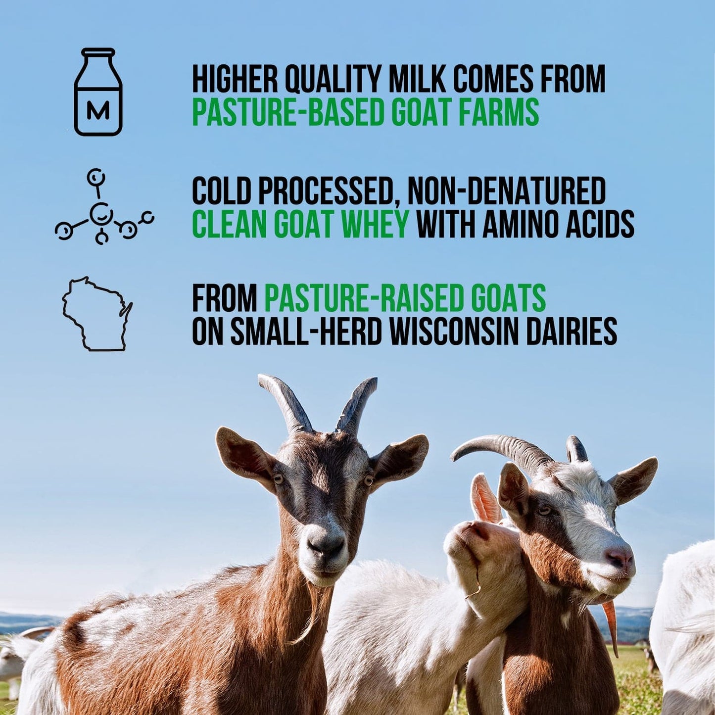 Goat Whey Protein Powder - Unflavored for Smooth Everyday Protein Shakes