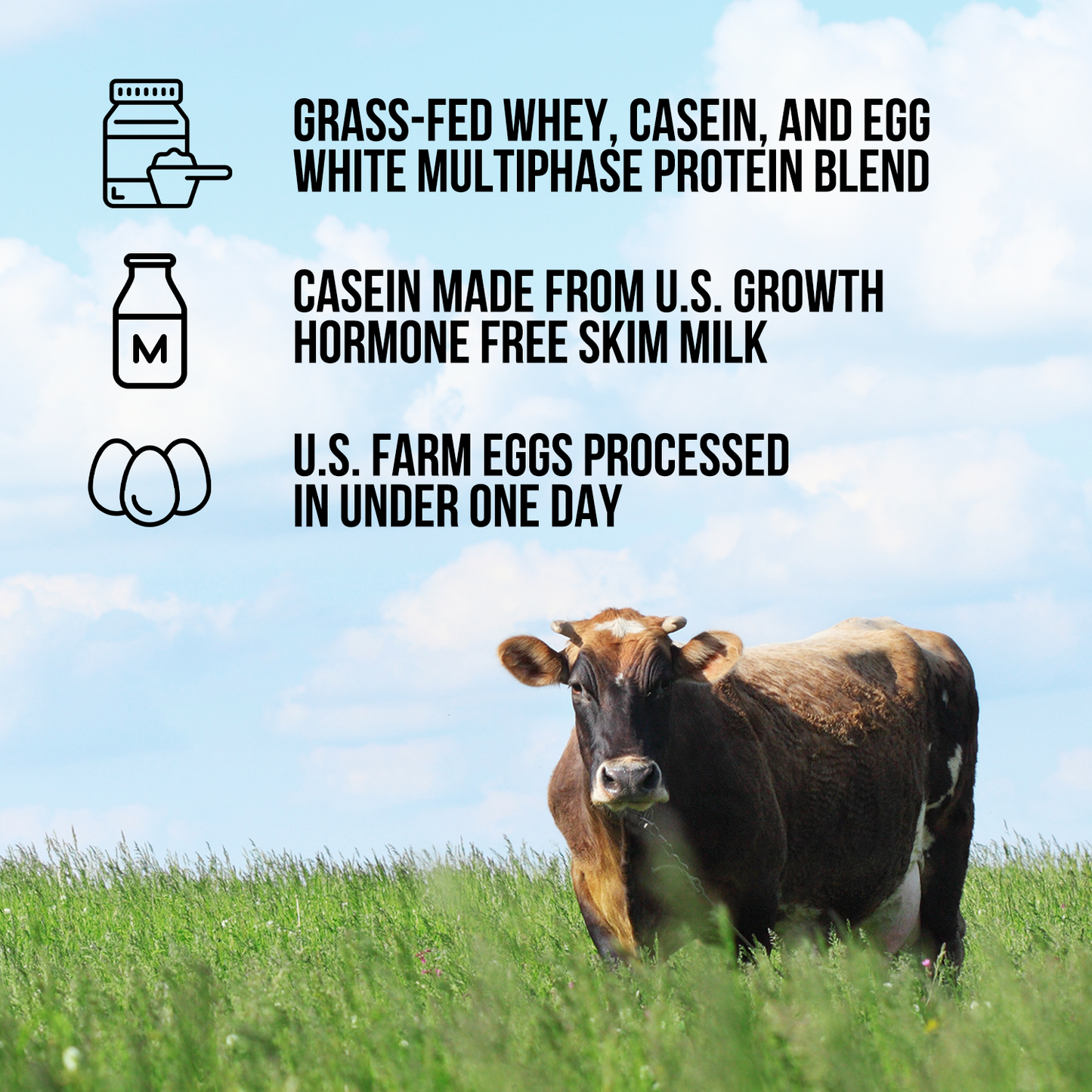 Protein Powder Blend - 1LB Egg Whey and Casein Protein Blend - 1LB for Smooth Everyday Protein Shakes