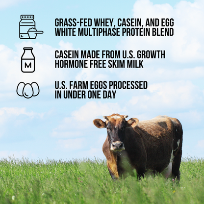 Protein Powder Blend - 1LB Egg Whey and Casein Protein Blend - 1LB for Smooth Everyday Protein Shakes