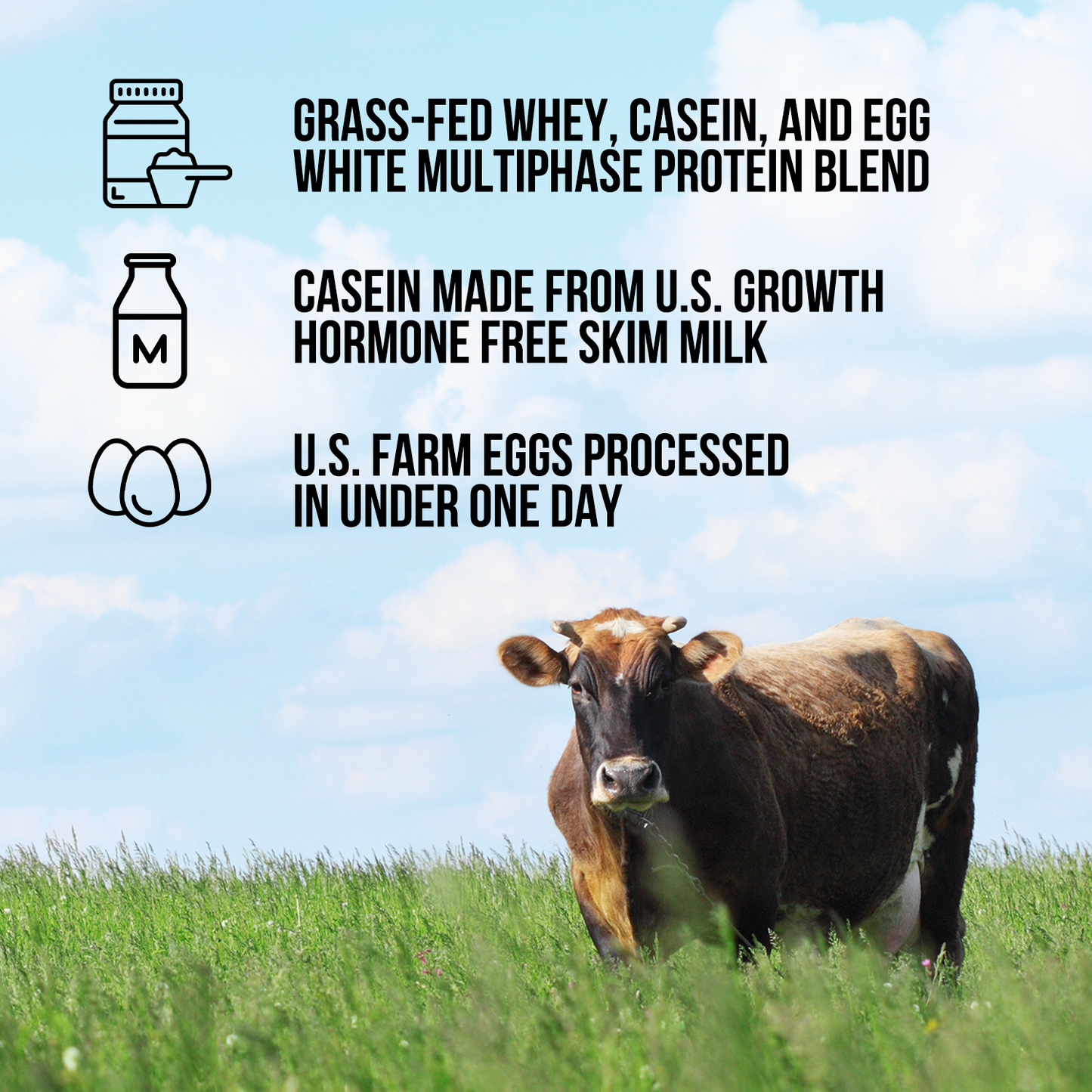 Protein Powder Blend - 3LB Egg Whey and Casein Protein Blend - 3LB for Smooth Everyday Protein Shakes