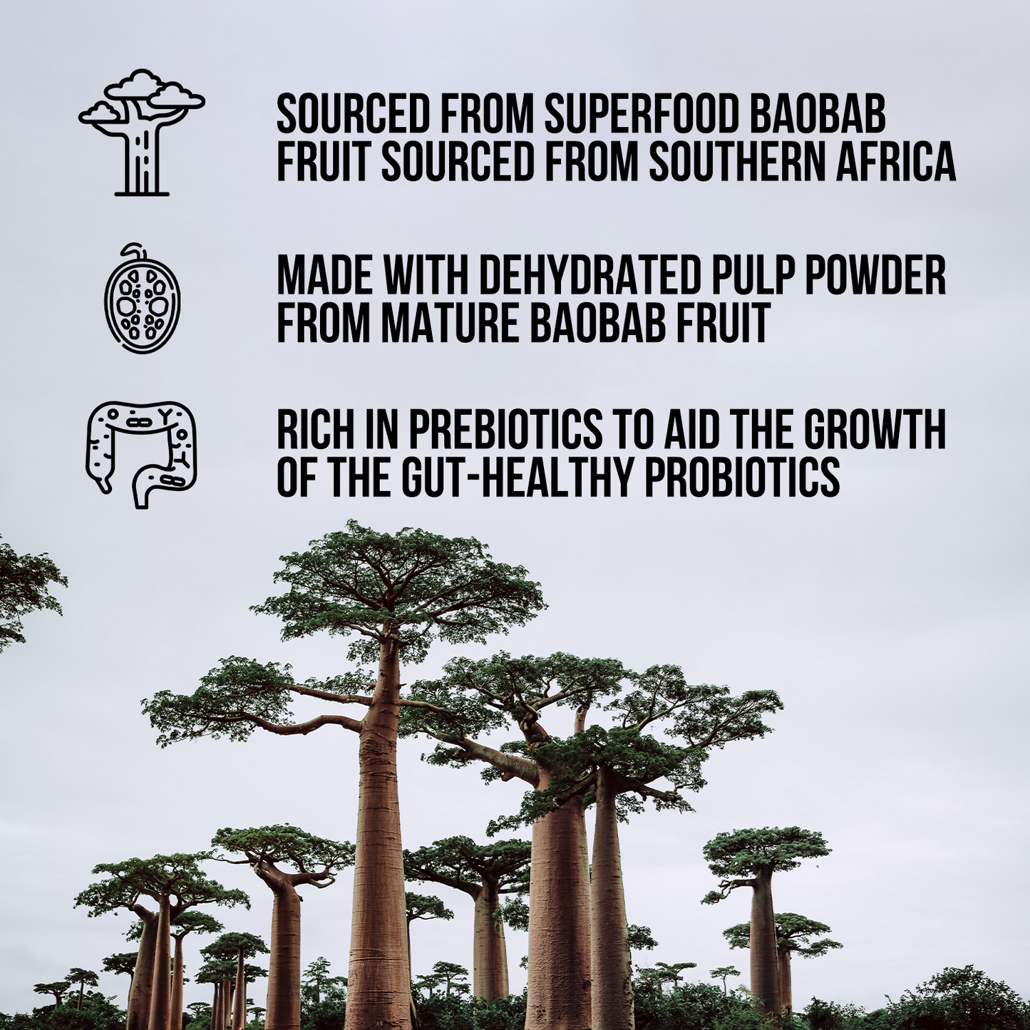 Organic Fiber Supplement for Simple Everyday Nutrition Routines