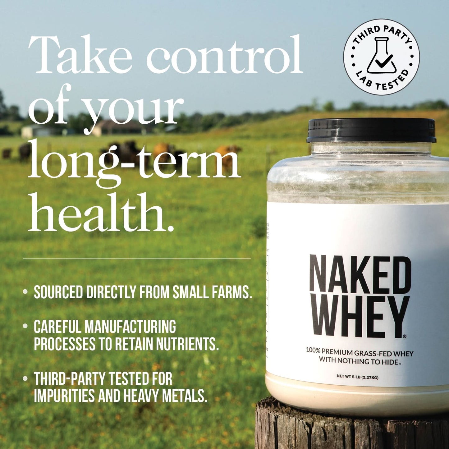 Vanilla Whey Protein Powder - Vanilla - Value Size for Smooth Everyday Protein Shakes