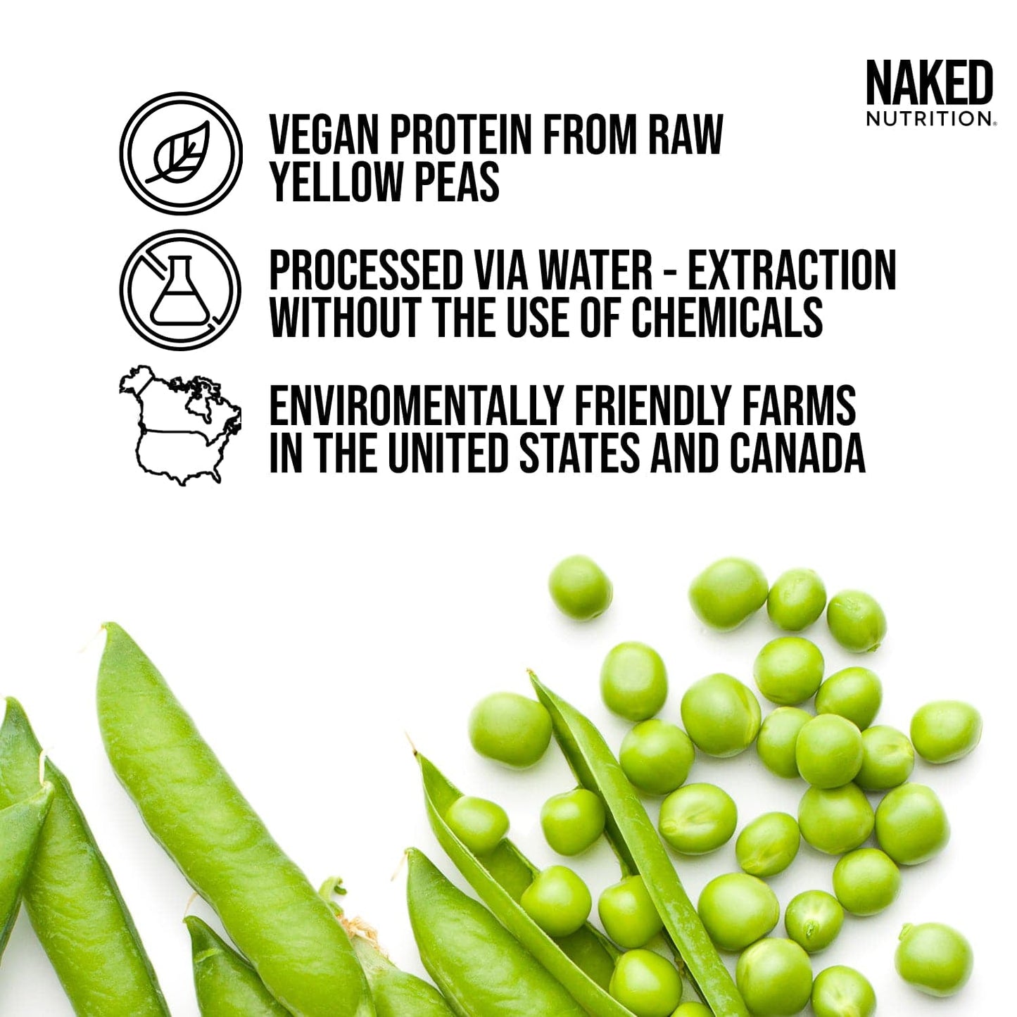 Vegan Protein Powder Sample Pack for Smooth Everyday Protein Shakes