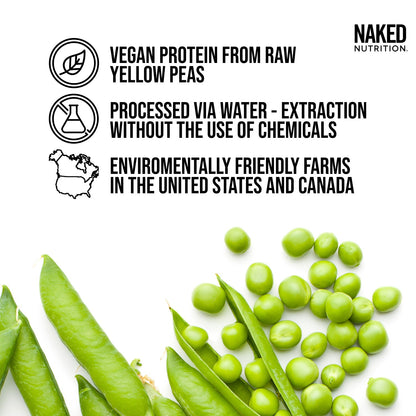 Vanilla Pea Protein Powder - Vanilla - Bulk Size for Smooth Everyday Protein Shakes